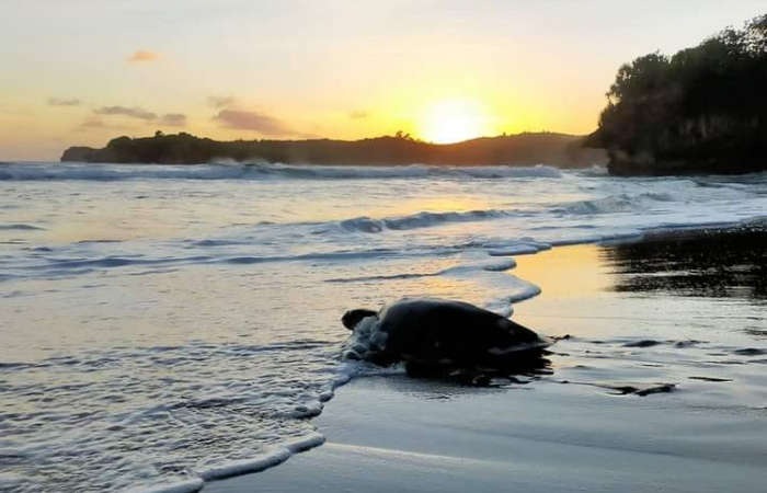 Penampakan sunset di Pantai Serang