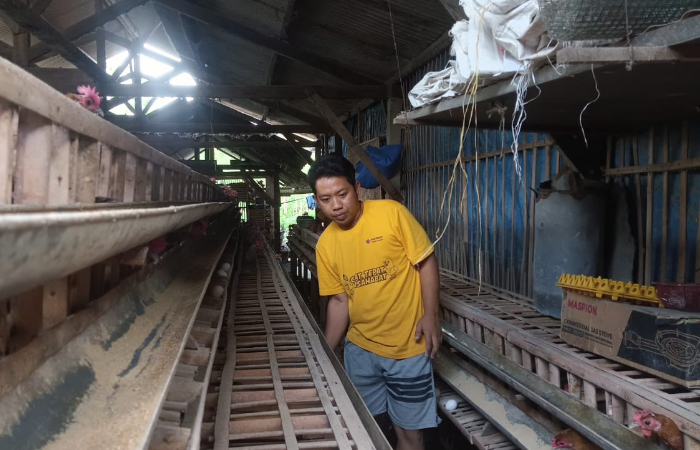 BERGIZI : Ternak ayam Arap petelur menjadi salah satu potensi yang dimiliki Desa Kalidawir.