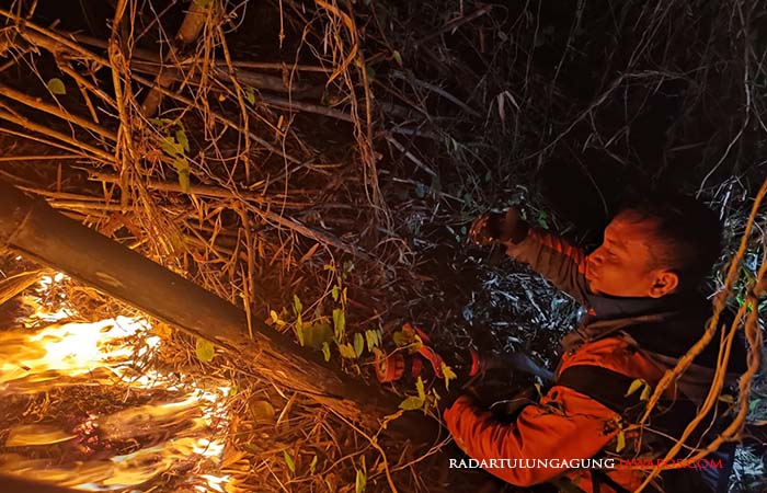 API: Tampak api mulai menjalar di dekat permukiman warga Desa Langon, Kecamatan Ponggok, Sabtu (9/9) malam.