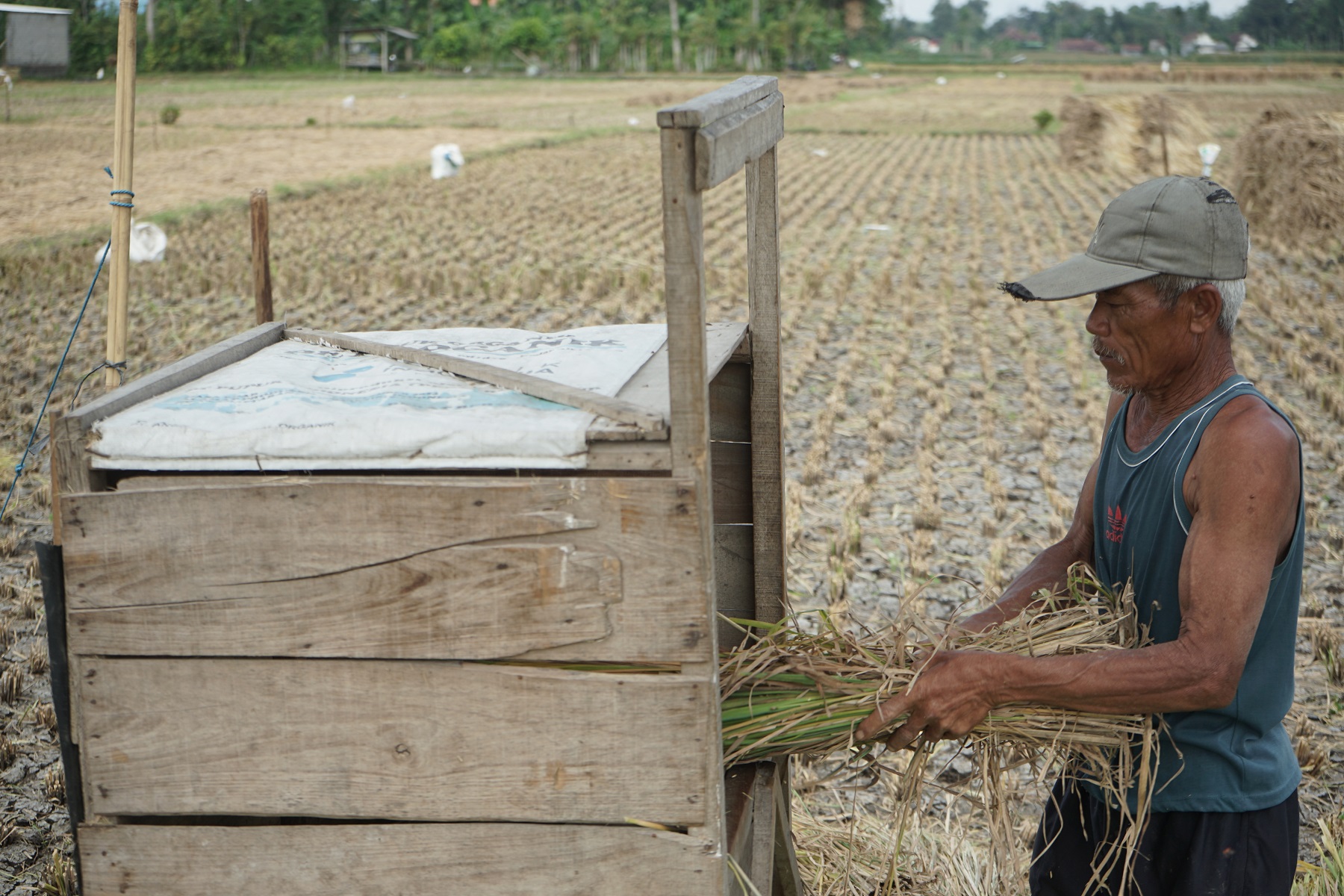 SEDIKIT: Luasnya lahan pertanian di Tulungagung tidak didukung jumlah tenaga penyuluh yang memadai. (Foto: Satria Cahyono/Radar Tulungagung)