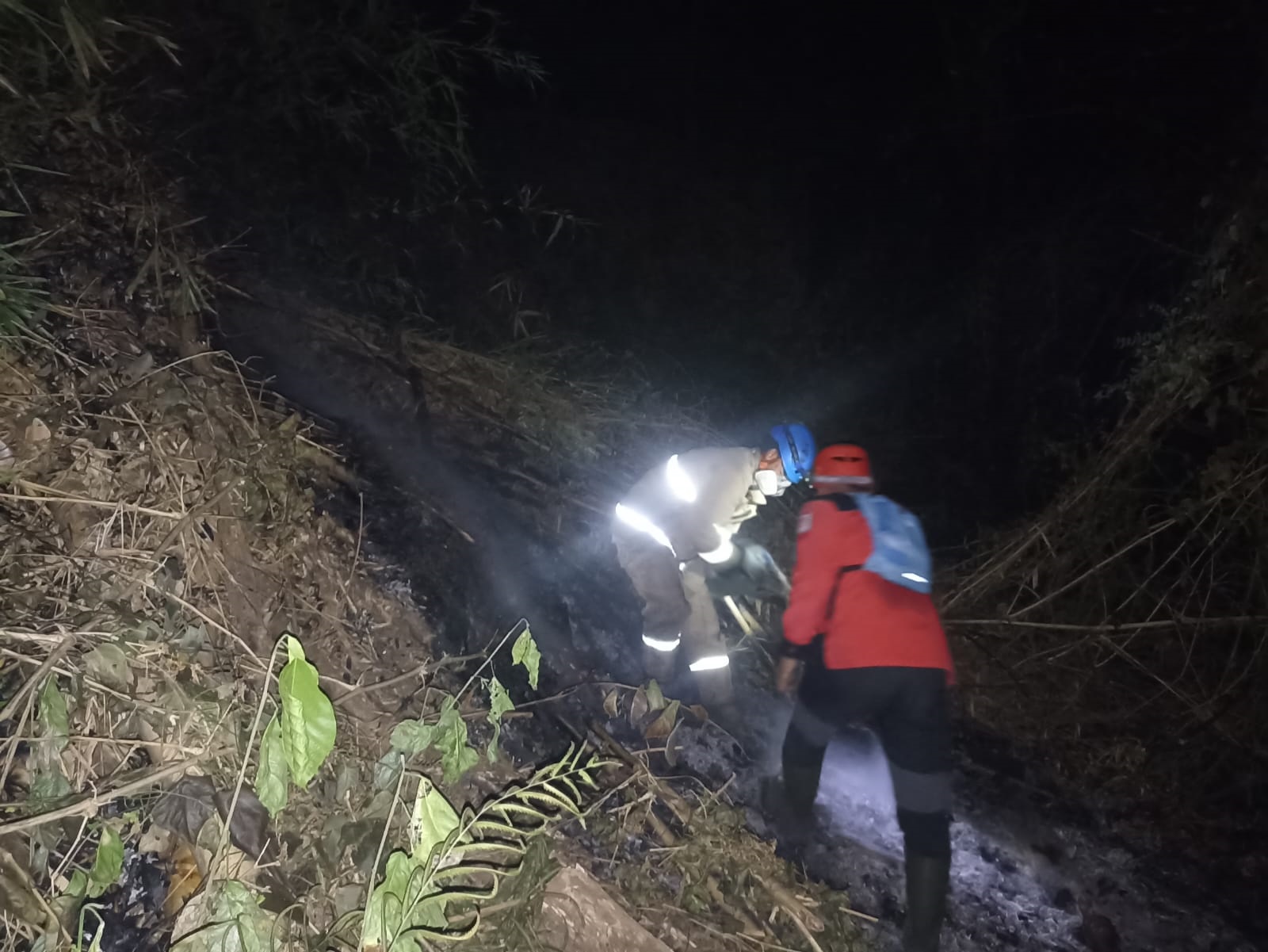 PANAS: Personel Damkar Kabupaten Blitar berusaha menjinakkan api yang mengamuk di Gunung Pegat Senin (18/9) malam.
