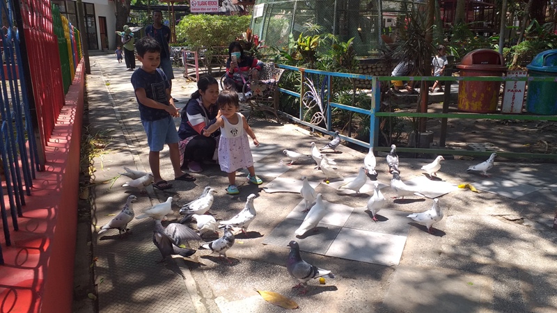 ILUSTRASI: Pengunjung menikmati family time di Taman Kebon Rojo Kota Blitar, Selasa (26/9/2023). Semua anak memiliki hak yang sama untuk mendapatkan keluarga.