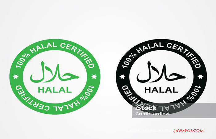 logo halal