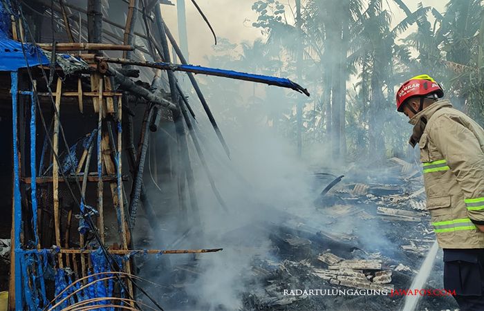 LUDES: Api melalap sebuah kandang ayam di Desa Karangrejo, Kecamatan Garum, Kabupaten Blitar. Kebakaran diduga dipicu korsleting listrik ini mengakibatkan kerugian puluhan juta rupiah.