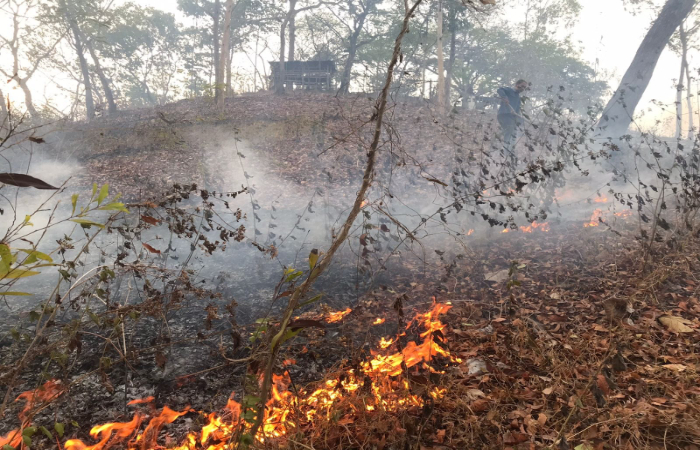 MEMBARA:  Lahan di Gunung Bolo, Desa Wonokromo, Kecamatan Gondang,  Tulungagung, diselimuti api.