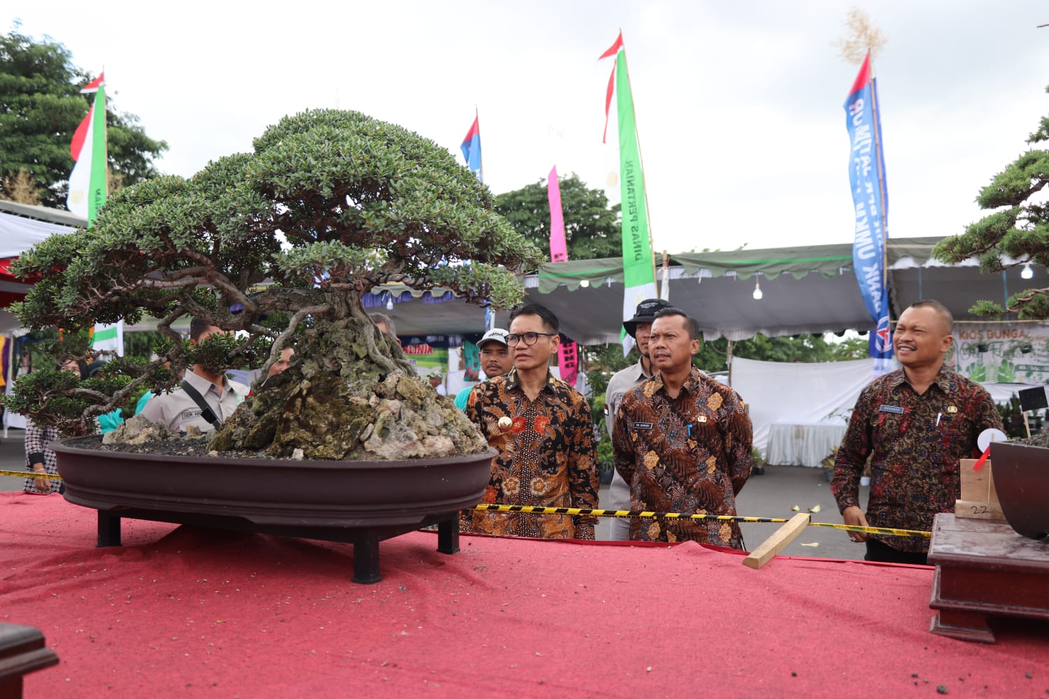 ANIMO TINGGI: Pj Bupati Tulungagung Heru Suseno Didampingi Kadispertan Suyanto Dan Kadisperindag Tri Hariadi melihat Pameran bonsai dan Tanaman hias daun di Halaman Gor Lembu Peteng, kamis ( 7/12).