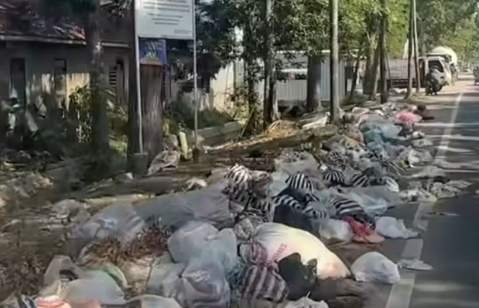 Tumpukan sampah di ruas milik jalan Kabupaten Tulungagung-Kabupaten Trenggalek.