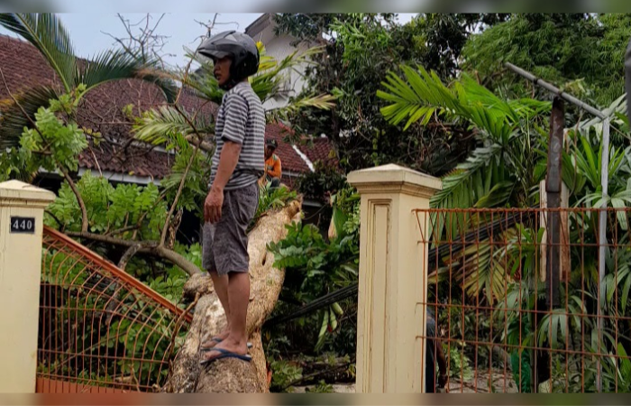 Kondisi rumah warga rusak tertimpa pohon usai hujan berangin di Rejoagung, Kedungwaru, Tulungagung, Rabu (3/1/2024)