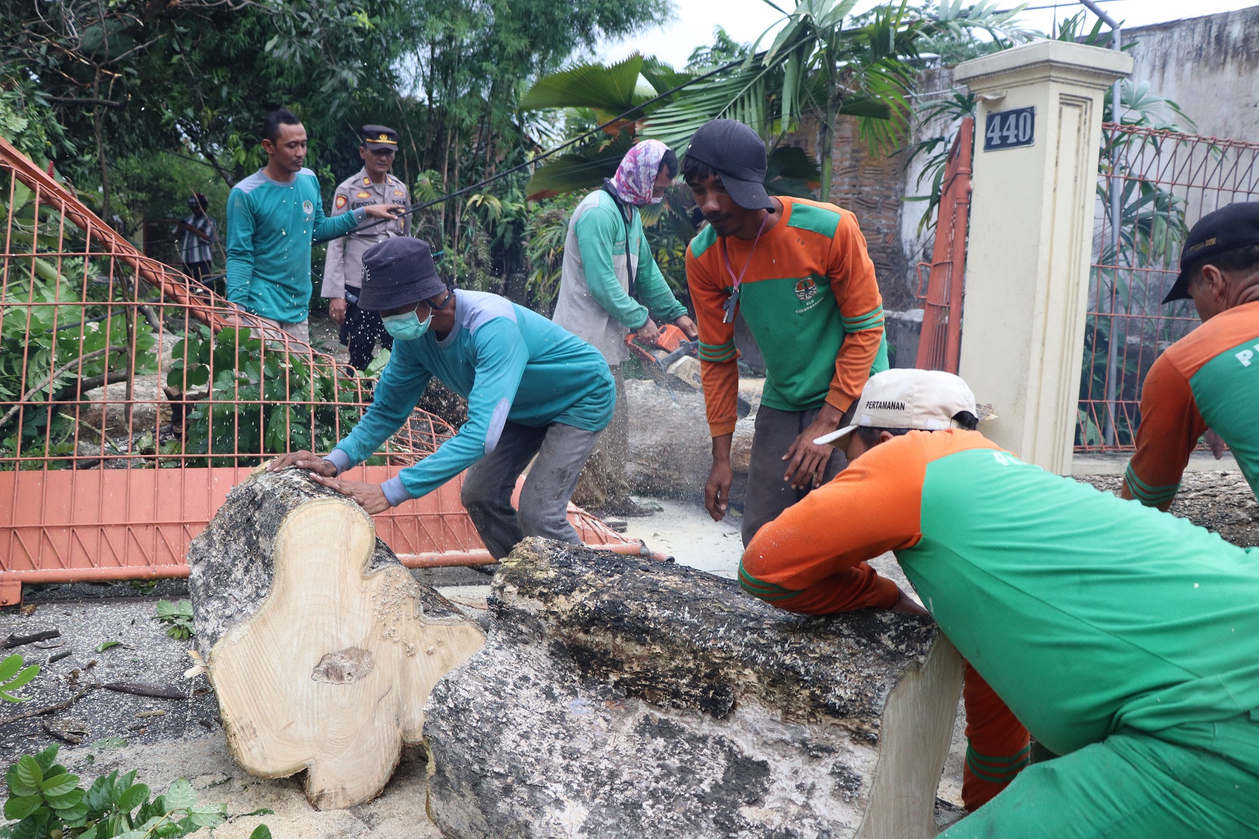 TAK ADA KORBAN JIWA: Personel gabungan secara bergotong royong memindahkan pohon yang roboh di Desa Rejoagung, Kecamatan Kedungwaru, pada Rabu (3/1). (Foto: Yoga Dany Damara/Radar Tulungagung)