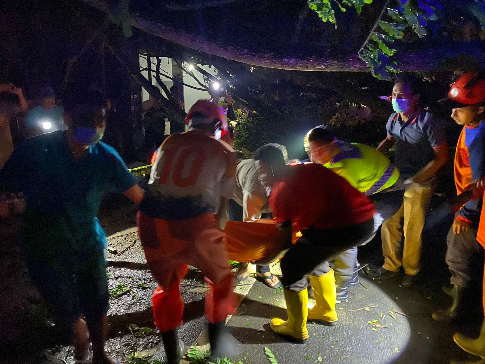 Tim gabungan mengevakuasi pengendara motor yang tewas tertimpa pohon, Minggu (25/2) dini hari.
