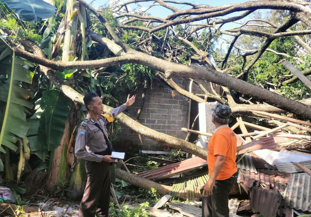 Pohon tumbang menimpa rumah salah satu warga di Tulungagung.