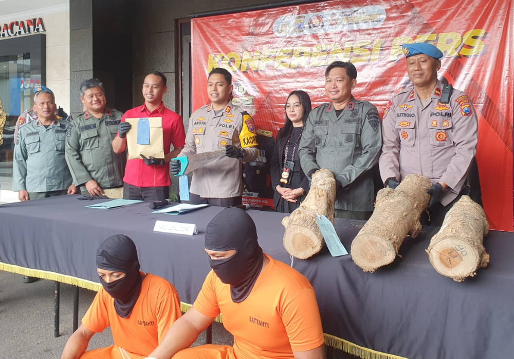 Pihak kepolisian telah menetapkan dua tersangka atas kasus pencurian kayu jati gelondongan hingga 73 batang.