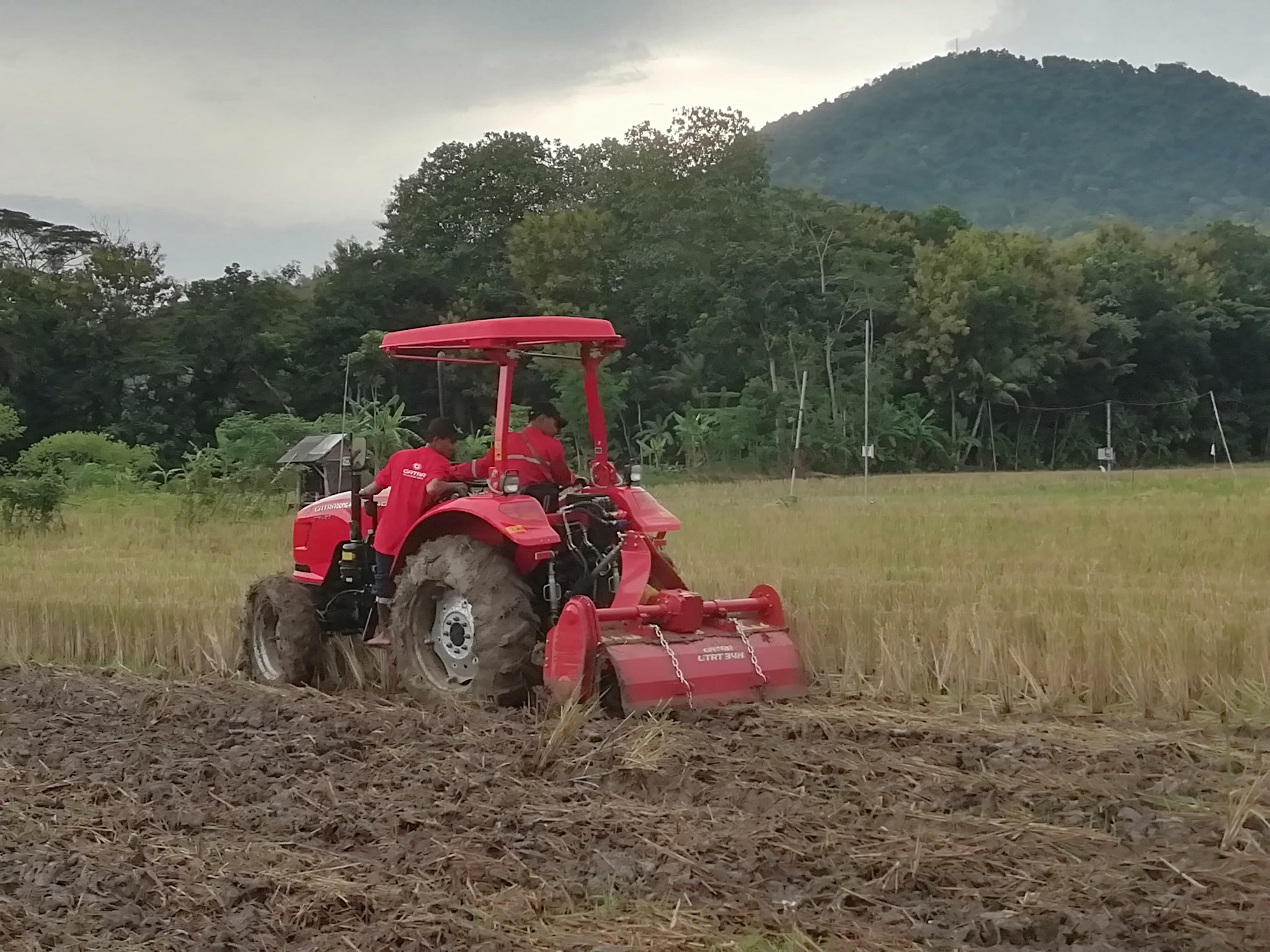 HARUS MENINGKAT: Satu unit mesin traktor bantuan dari Kementan yang tengah dioperasikan di persawahan Desa Wonoanti, Kecamatan Gandusari.