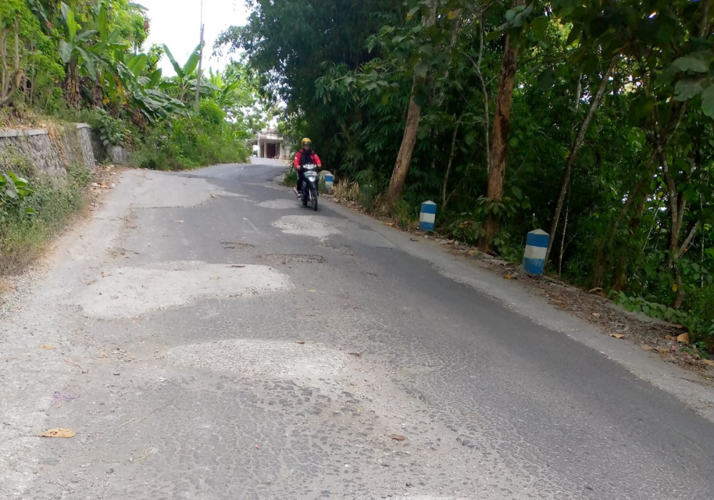 Desakan untuk membangun jalan sirip Jalur lintas selatan (JLS) Tulungagung terus menggema di kalangan warga Desa Rejosari, Kecamatan Kalidawir.