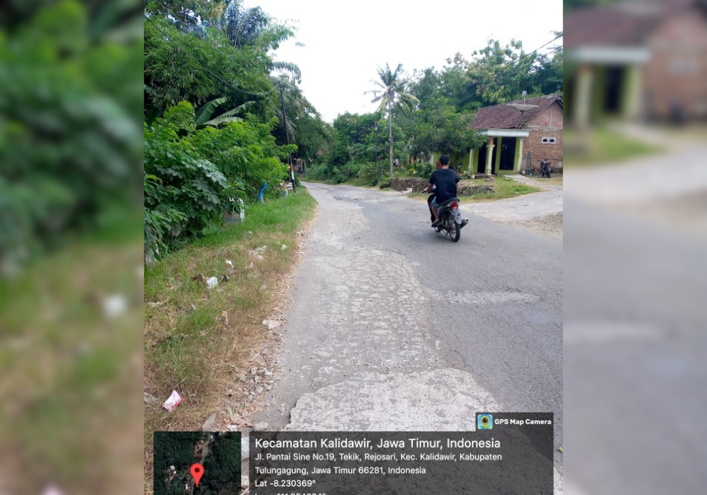 Tunggu sentuhan: kondisi jalan sirip jls di Desa Rejosari, kecamatan Kalidawir yang belum ada perubahan.
