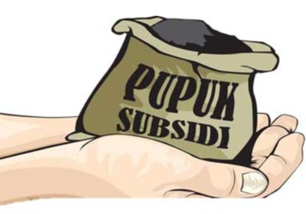 Ilustrasi foto pupuk subsidi.