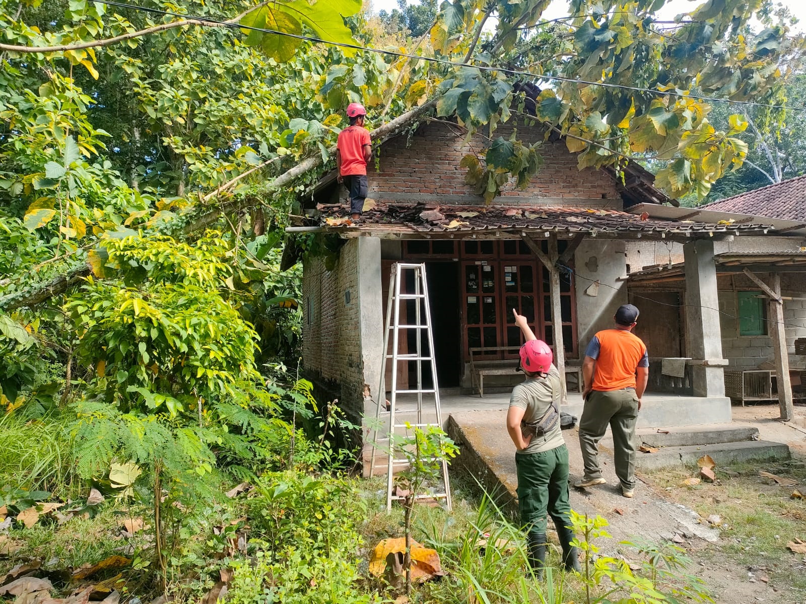 GOTONG ROYONG: Tim gabungan bekerja sama membersihkan pohon yang menimpa rumah.