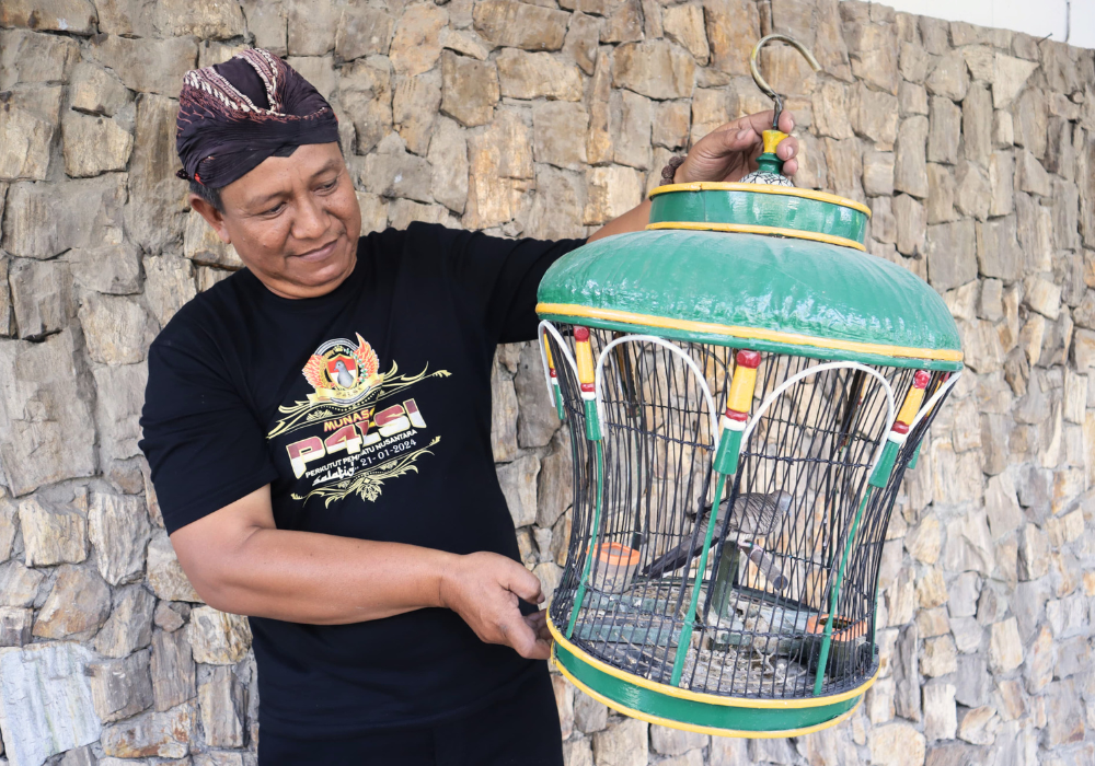 Nurfiat, pehobi burung perkutut lokal karena terkagum dengan nilai filosofisnya.