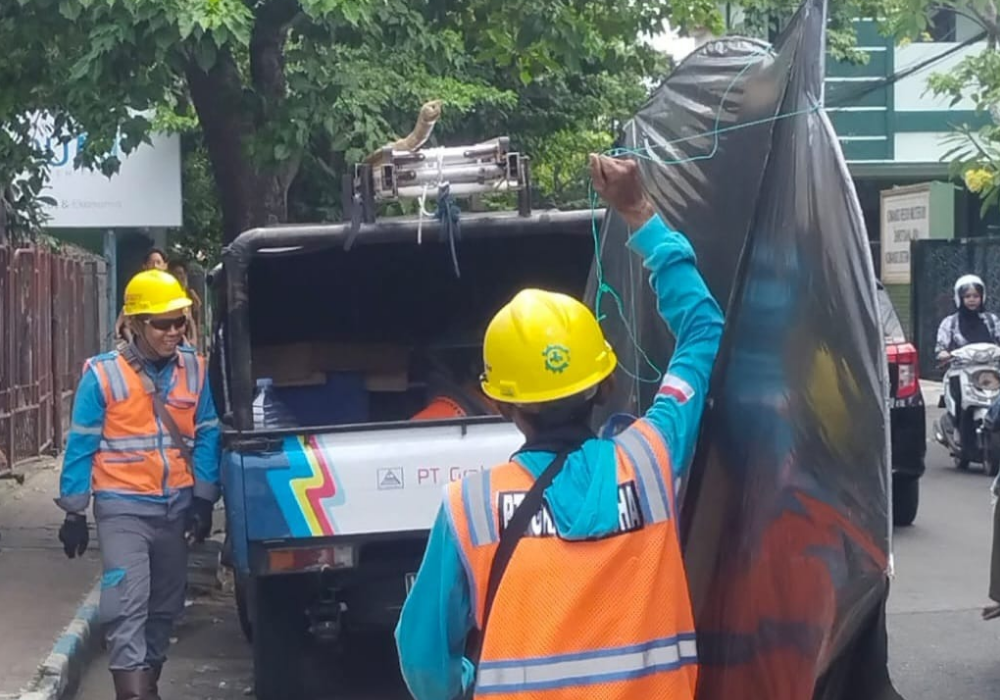 Selama tiga bulan belakang, sudah puluhan kasus gangguan jaringan listrik akibat layang-layang yang tersangkut di kabel listrik.