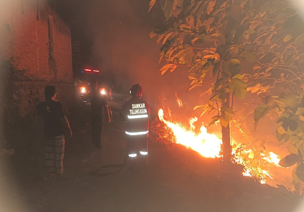 Kebakaran lahan kayu jati di Desa Bolorejo, Kecamatan Kauman, Kabupaten Tulungagung, Kamis (5/9/2024) malam.