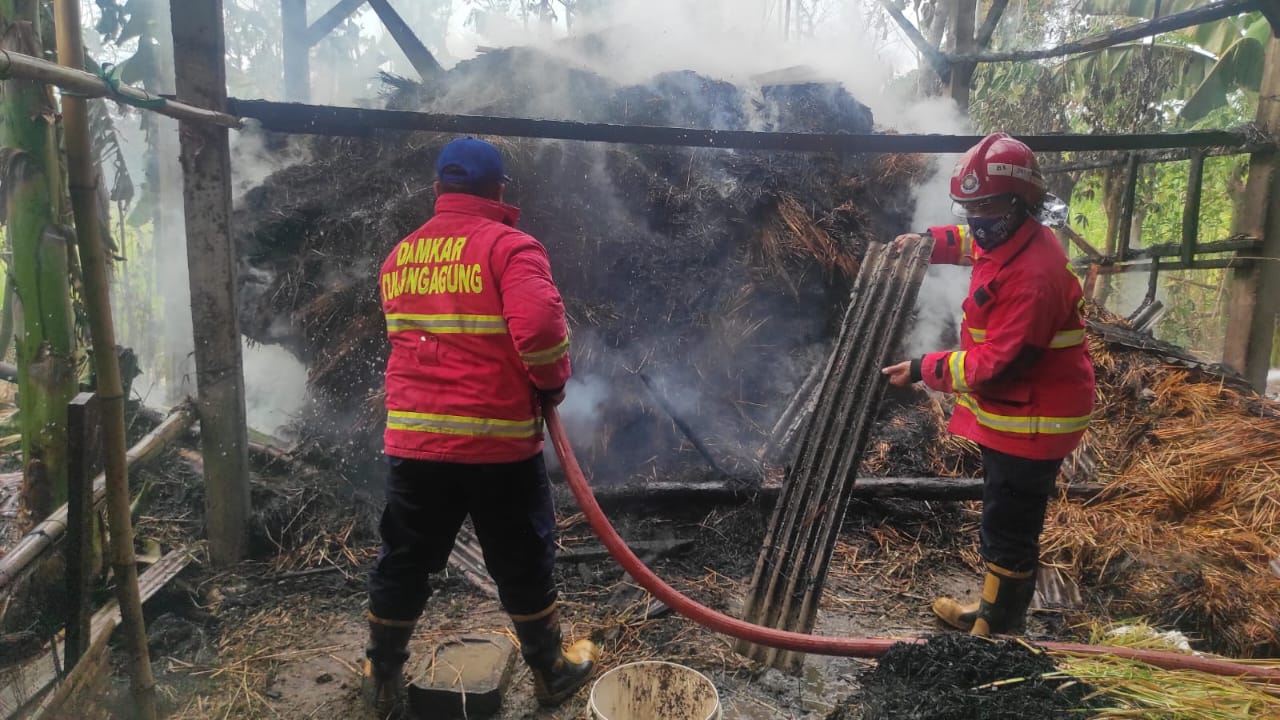 RUGI BESAR: Petugas Damkar Tulungagung memadamkan api yang melahap kandang milik Mundir, warga Desa Pakisaji, Kecamatan Kalidawir, Senin (9/9).