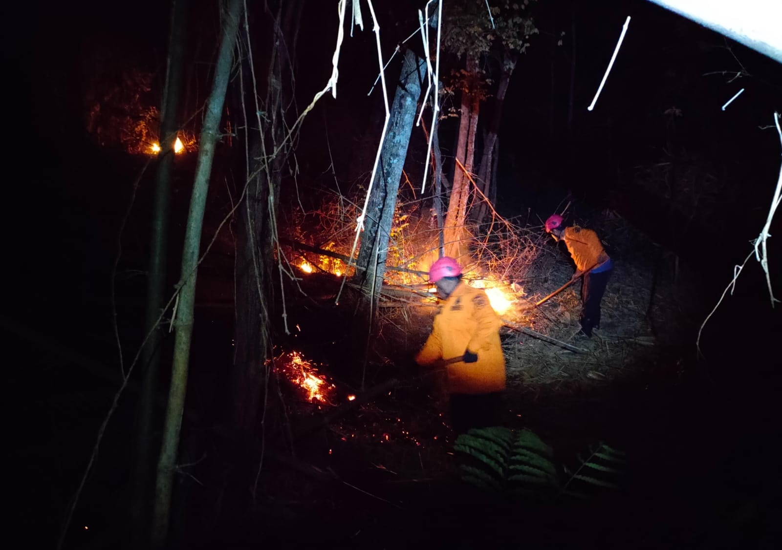 SIGAP: Tim gabungan berupaya memadampaknapi yang membakar kawasan hutan.