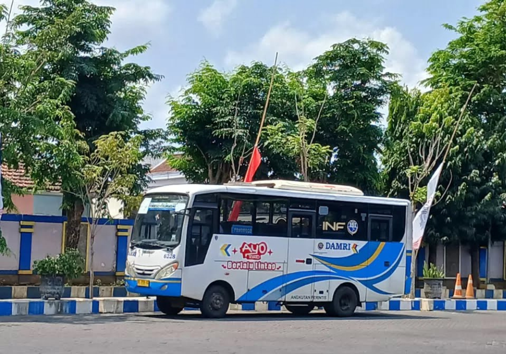 Bus Damri.