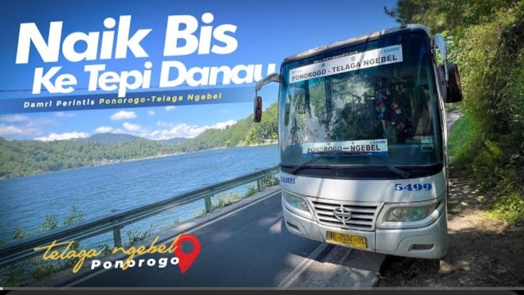 Damri perintis