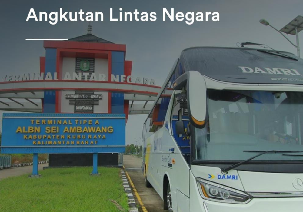 Bus DAMRI ( Angkutan Lintas Negara) Sumber Foto: damri.co.id