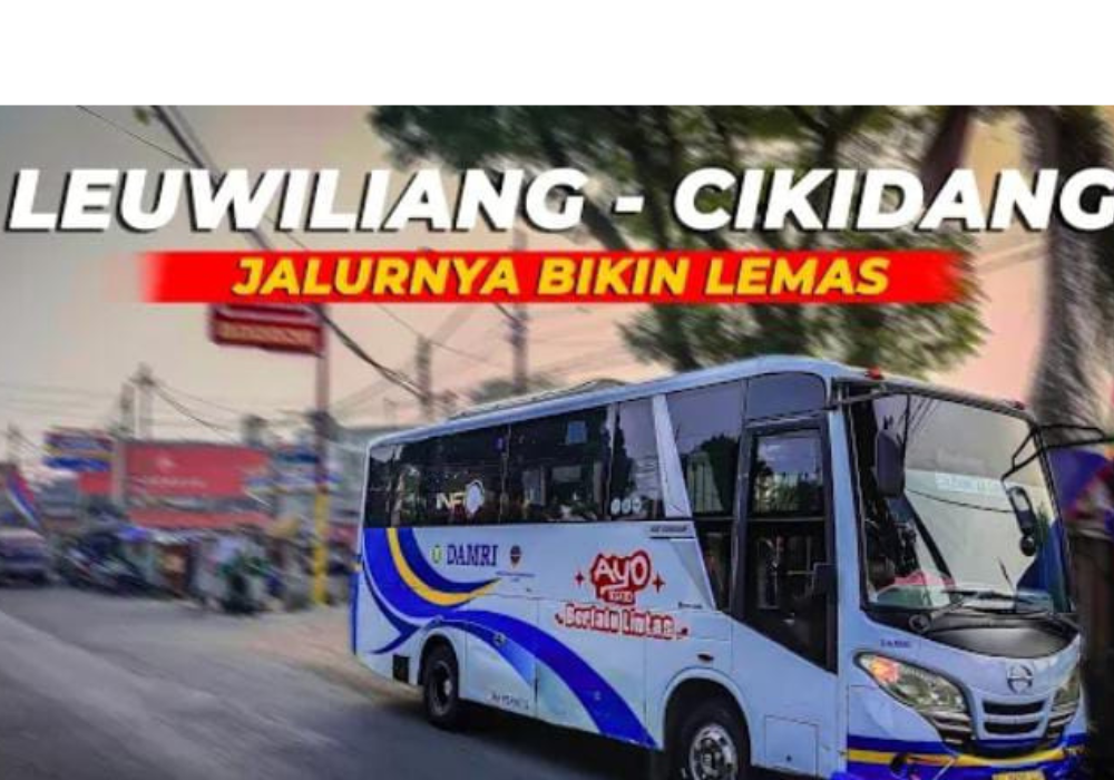 Damri Perintis Leuwiliang-Cikidang