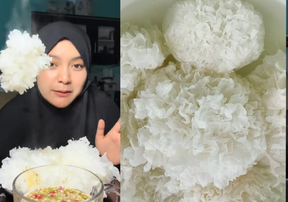Jamur salju (Sumber Foto: @loli_Adelardo)