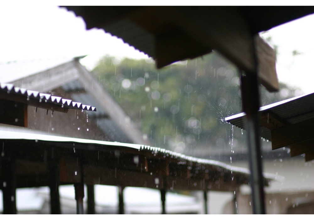 Hari Hujdan Musim Panas