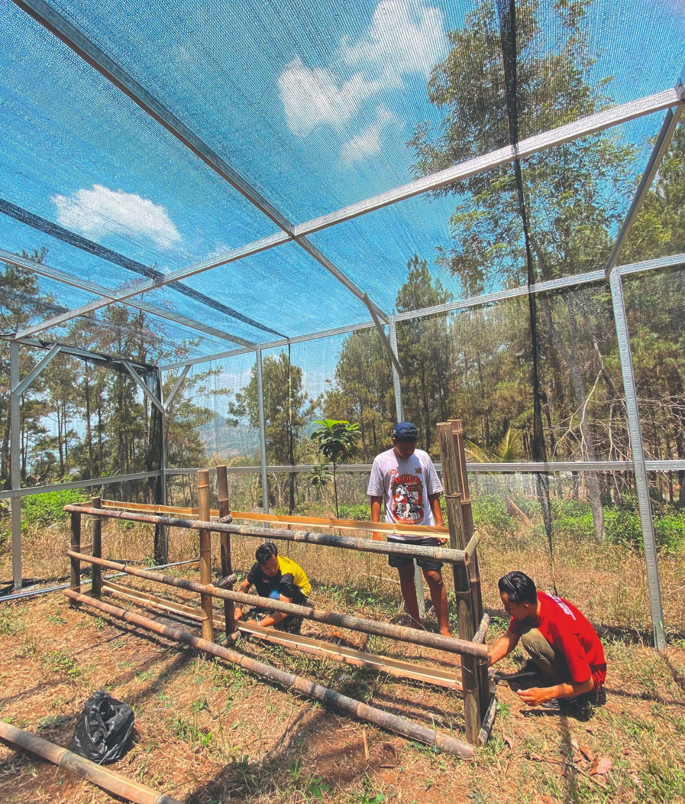 FOKUS: Mahasiswa STKIP PGRI Trenggalek membuat Rumah Herbal untuk konservasi tanaman toga lokal.