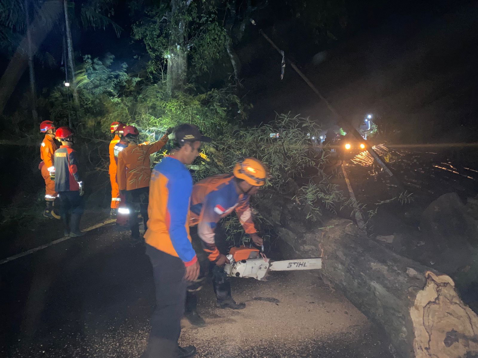 SIGAP: Tim gabungan mengevakuasi pohon tumbang yang menutup jalan.