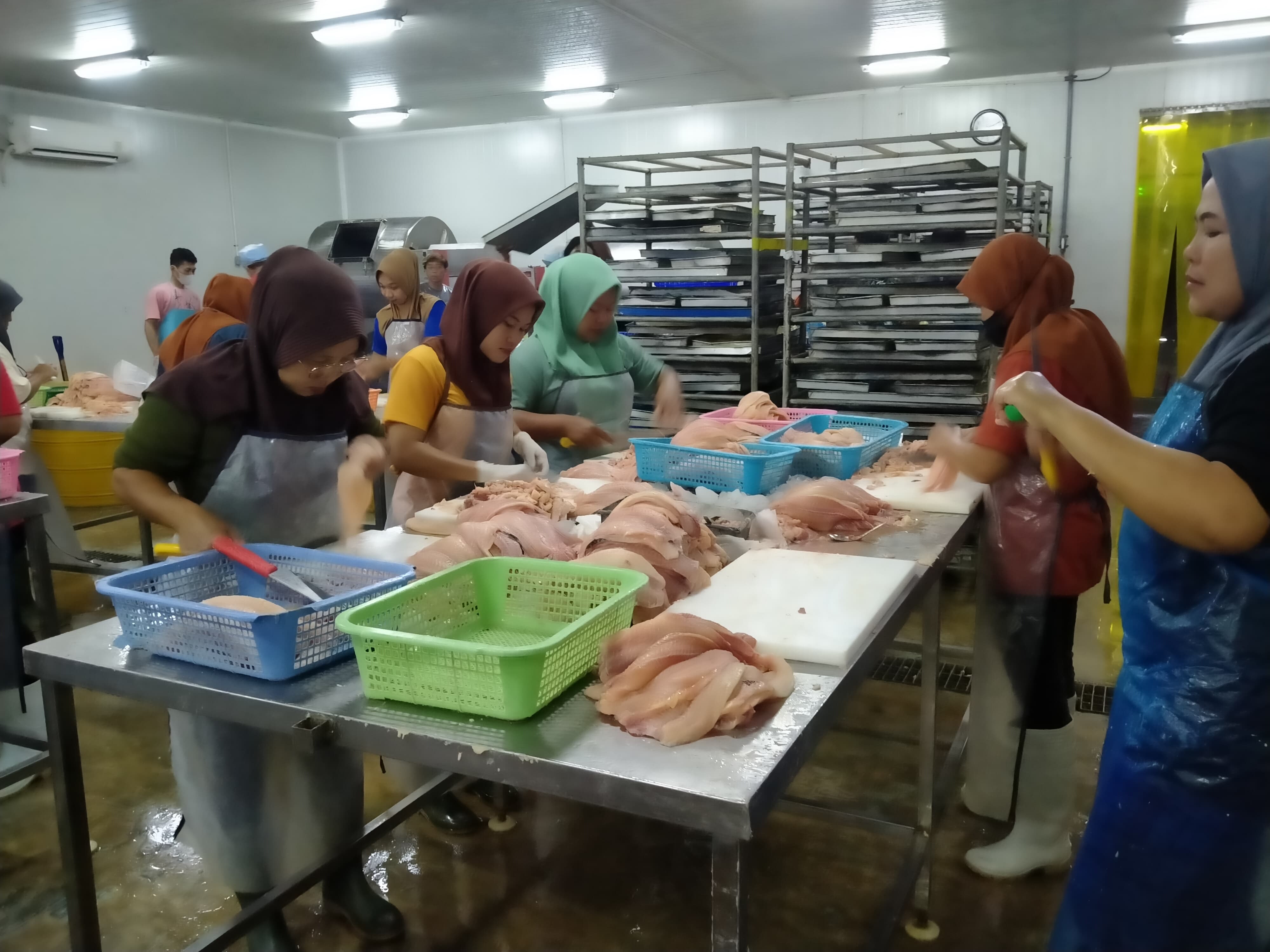 SEMANGAT: Suasana kerja dipabrik fillet ikan.