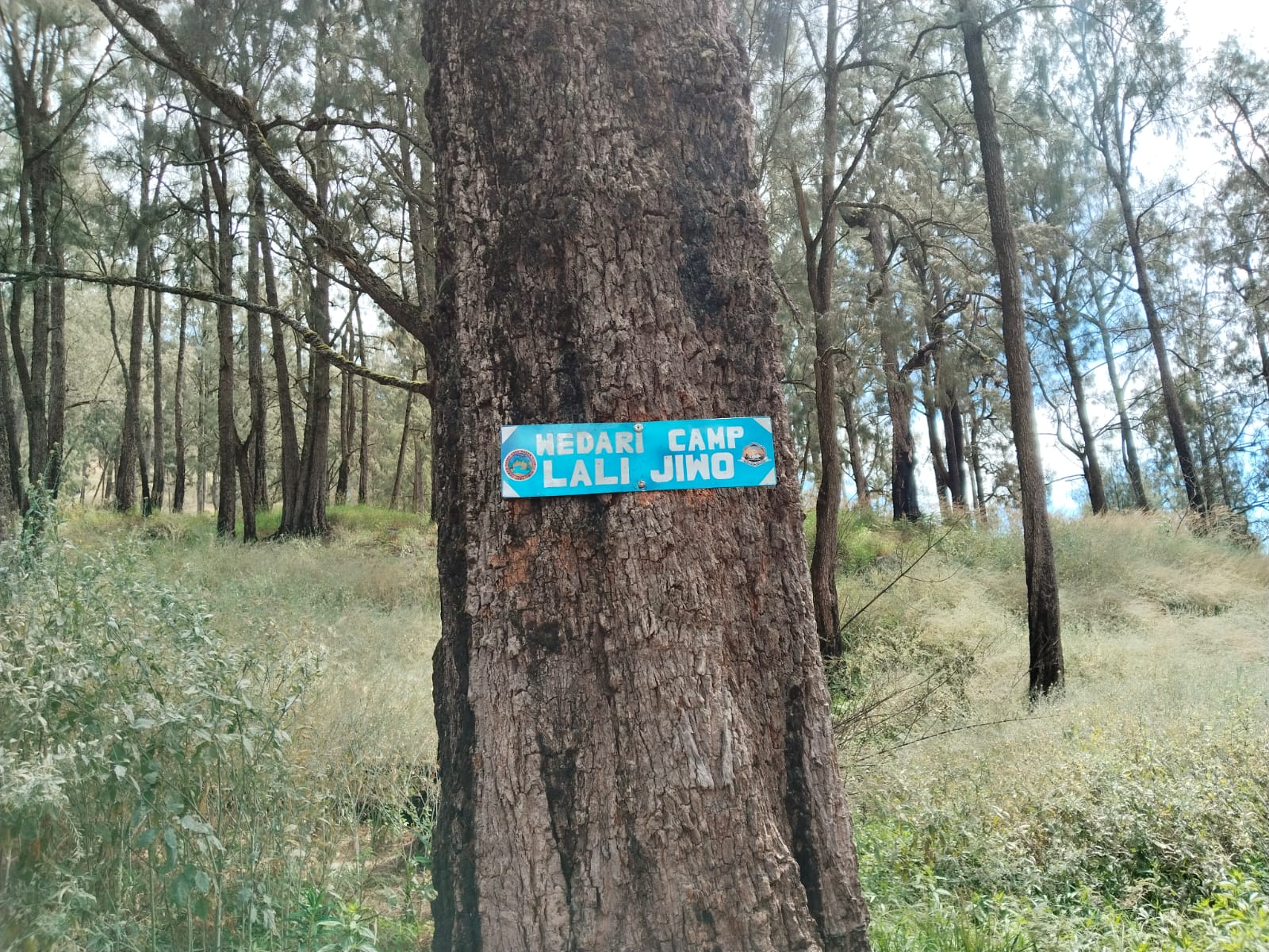 Salah satu papan petunjuk di area Alas Lali Jiwo Gunung Arjuno (lingkarsosial.org)