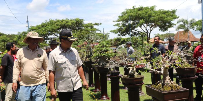 Sekda Tulungagung meninjau ratusan bonsai di Balung Kawuk.