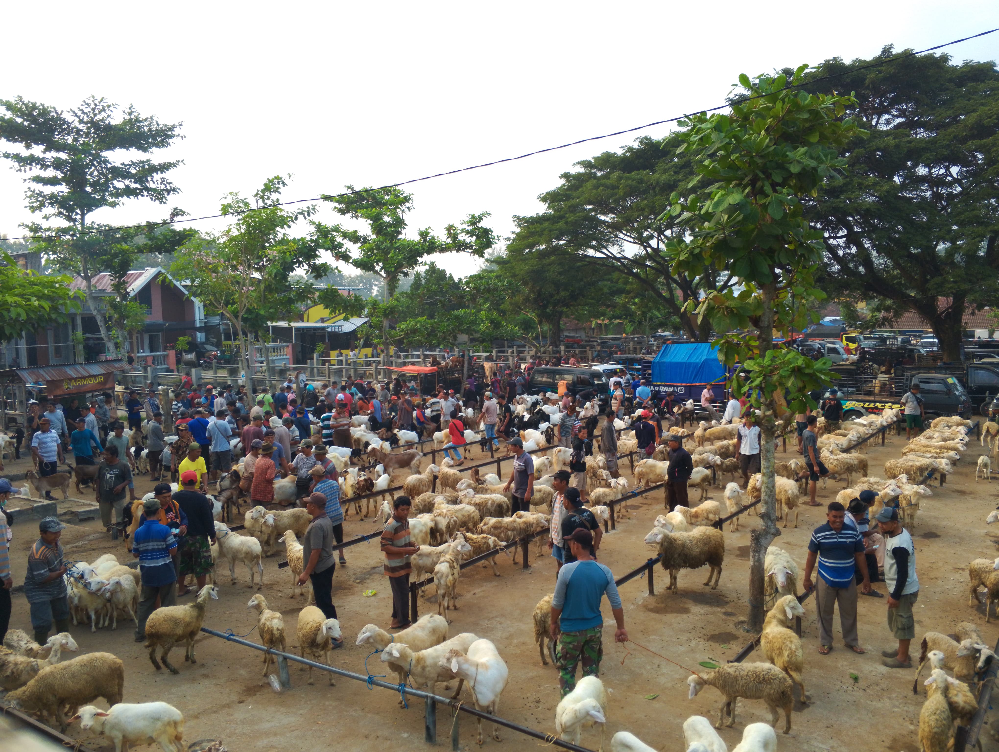 RAMAI: Kondisi di salah satu pasar hewan di Trenggalek. Kini Pemkab tutup sementara operasional pasar tersebut lantaran PMK