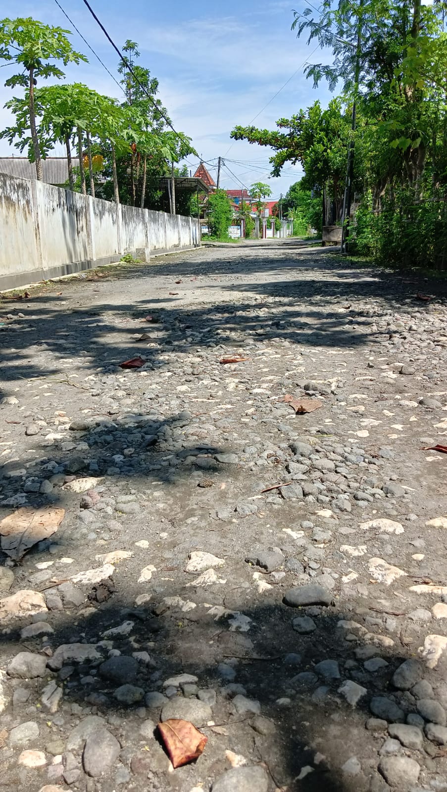 RUSAK: Kondisi jalan di Desa Tanjung, Kecamatan Kalidawir. Aspal sudah mengelupas. Pengajuan untuk perbaikan sudah beberapa kali dilakukan, tapi belum terwujud.