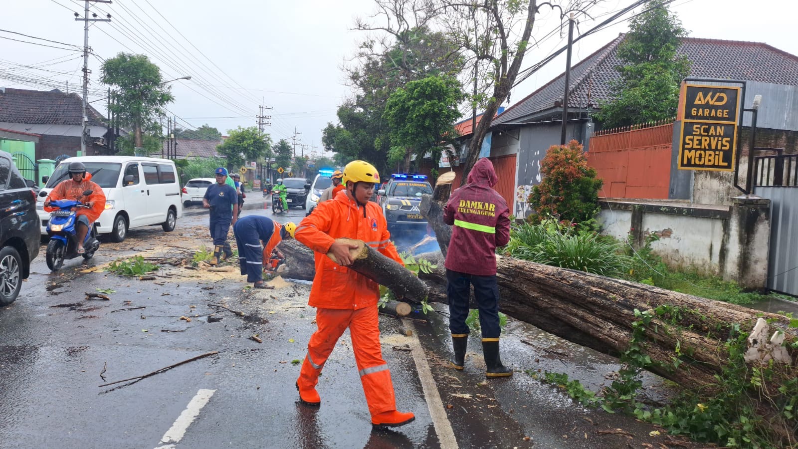 Dilanda hujan deras disertai angin kencang menyebabkan pohon tumbang di Desa Tapan Kecamatan Kedungwaru Tulungagung pada Jumat (24/1).