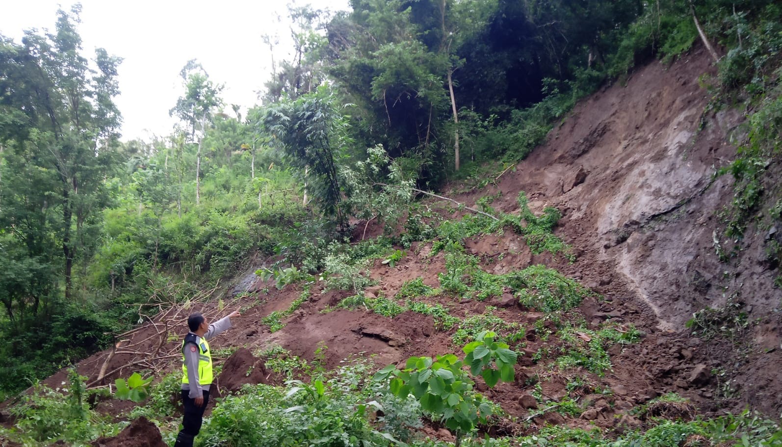 Puluhan wisatawan terjebak tanah longsor di Ranu Gumbolo Tulungagung