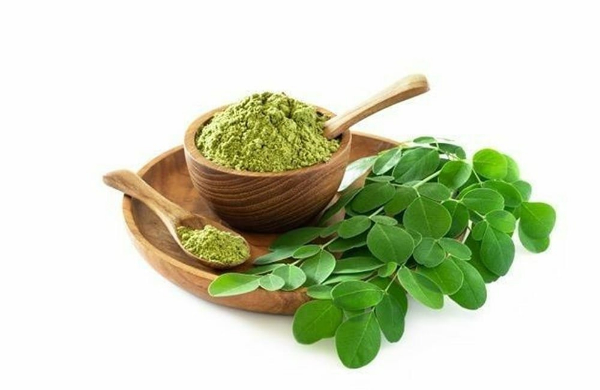 Daun kelor memiliki sejuta manfaat yang berguna bagi kesehatan tubuh (Pinterest)