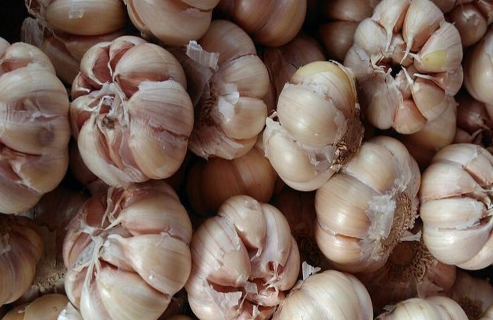 makanan pencegahan kanker paling ampuh