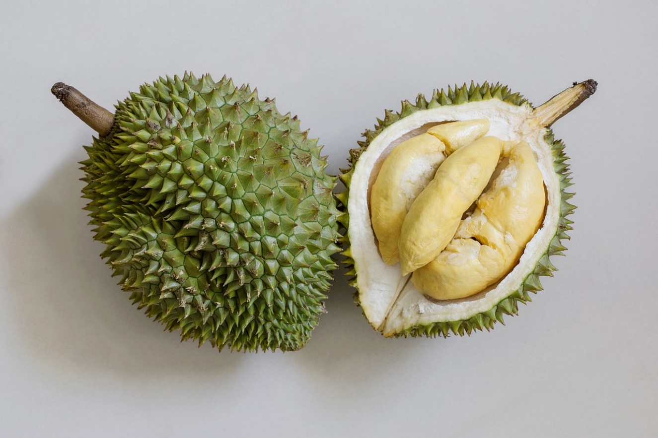 Salah satu jenis durian khas Indonesia saat dibuka kulitnya (guide.horego.com)