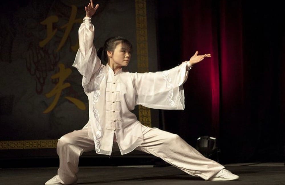 ilsutrasi kungfu