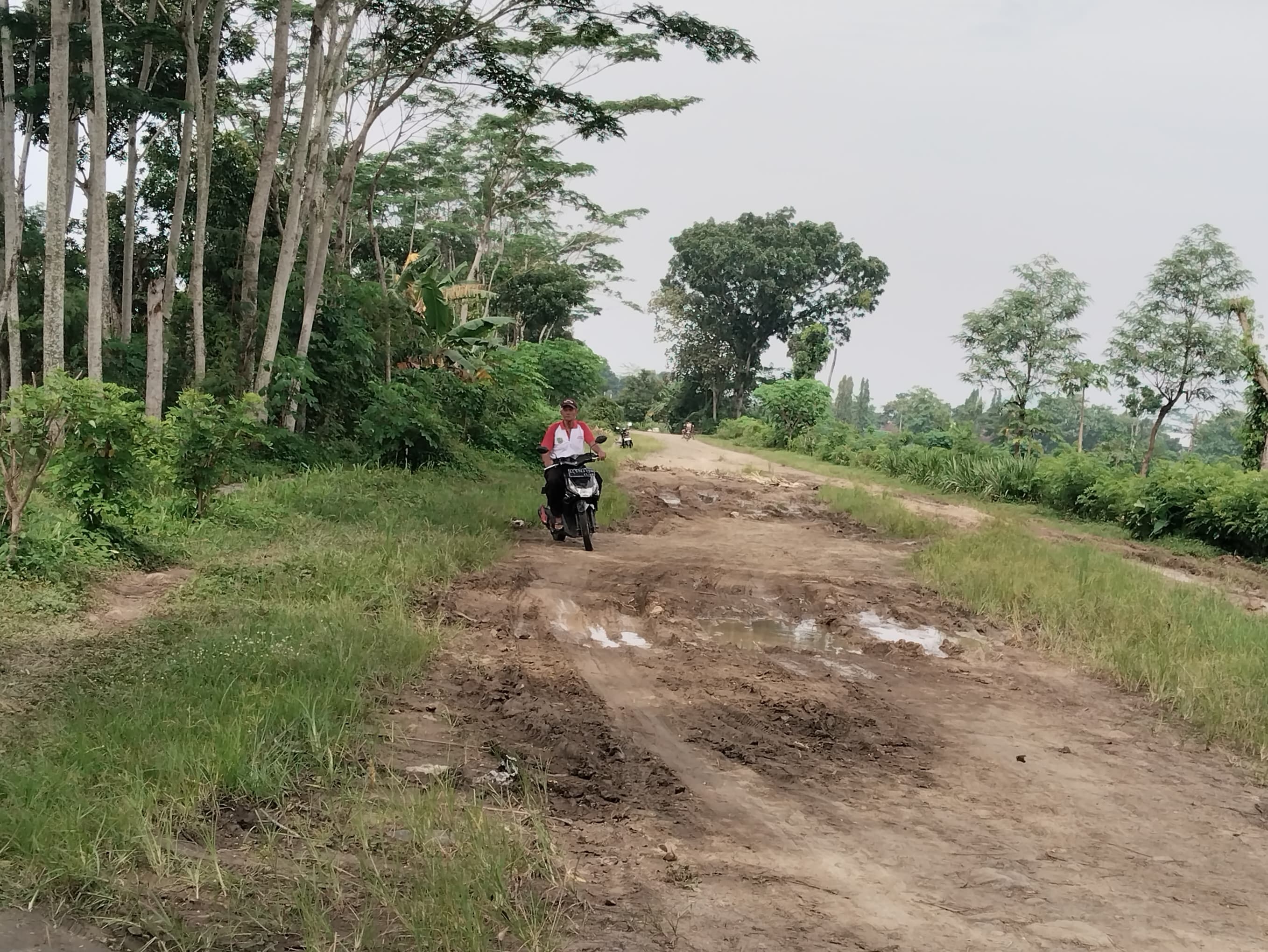 Kondisi Jalur Lingkar Durenan Trenggalek yang mirip jalur off road. (WANDA AK/RADAR TRENGGALEK)