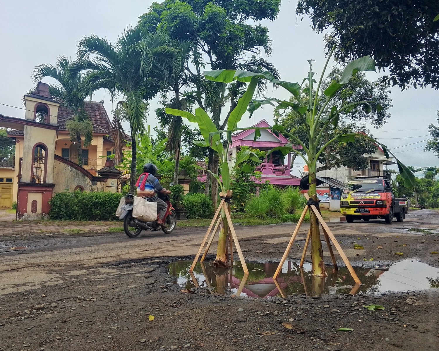 Protes jalan rusak, warga tanami pohon pisang di Desa Wonoanti Gandusari Trenggalek