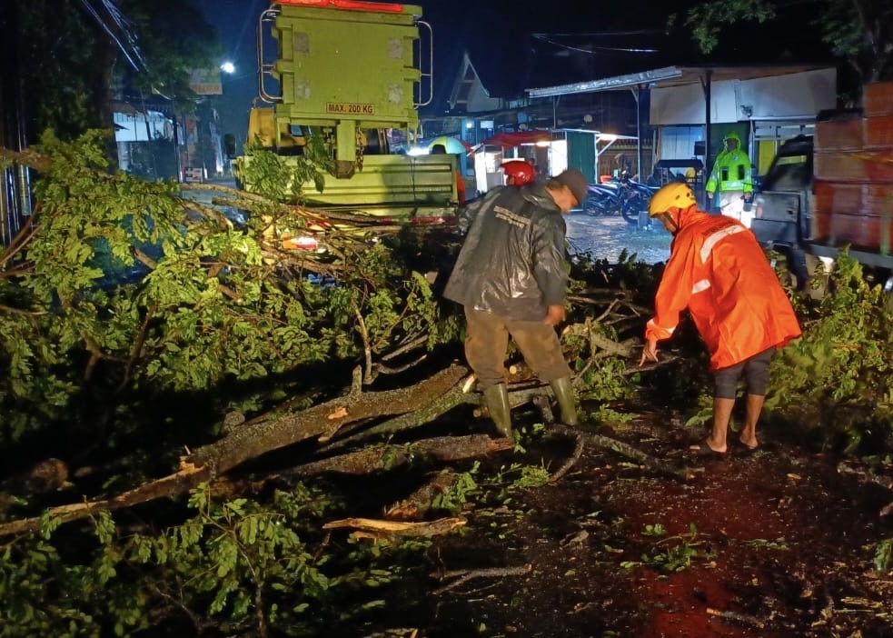 Diguyur hujan deras, dahan pohon jalan masuk Desa Bantengan Kecamatan Bandung Tulungagung rubuh