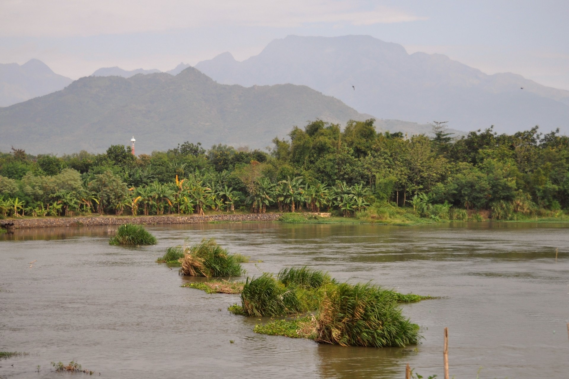 Sungai Brantas yang mengalir di wilayah Kediri (WIBOWO DJATMIKO/WIKIPEDIA)