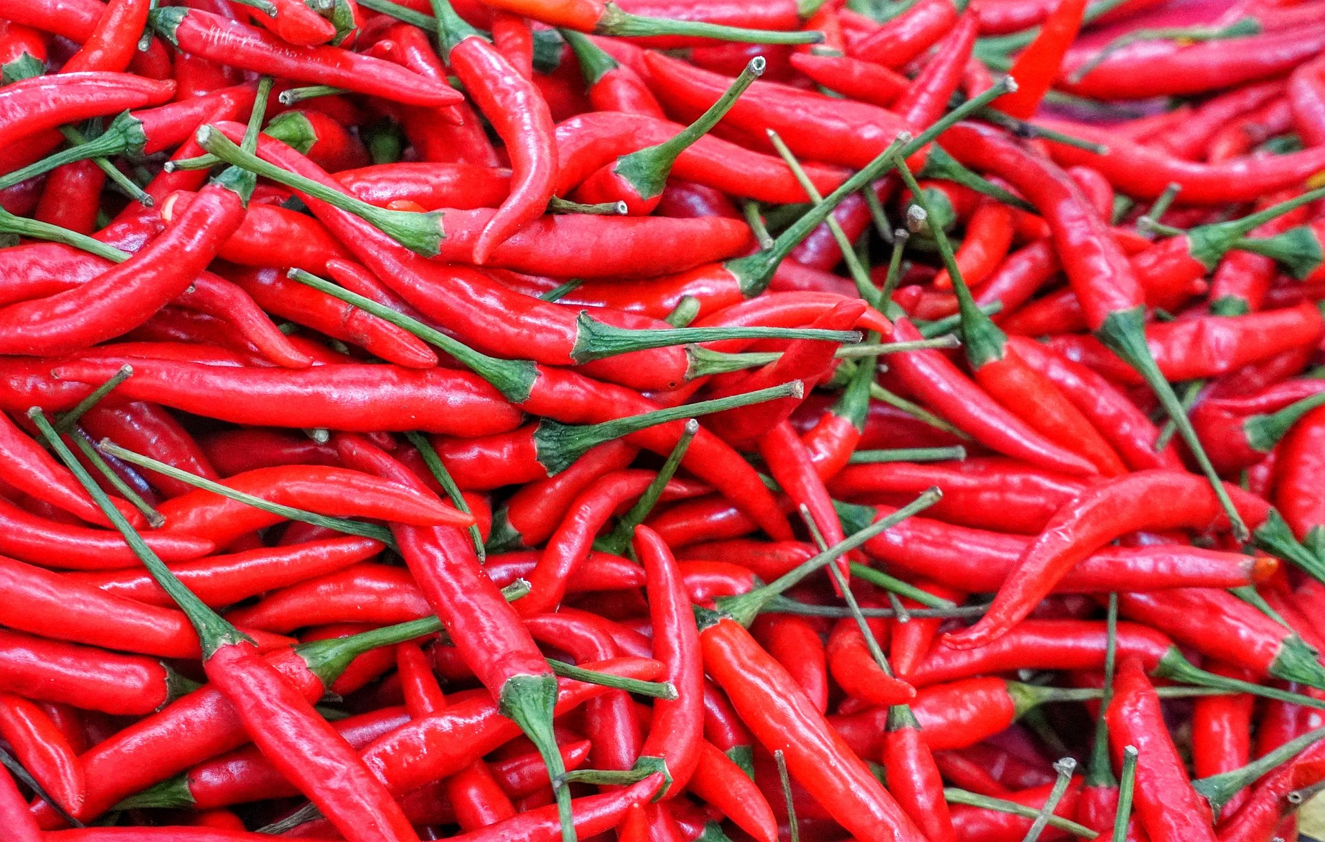 Harga cabai di Tulungagung terus mengalami fluktuasi. (PIXABAY)
